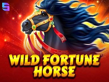 Wild Fortune Horse